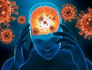 Experts are studying the potential connection between COVID-19 and the increased risk of Alzheimer’s. We know that Alzheimer’s affects brain functions. But could it be possible that COVID-19 infection would have the same effect on the brain?